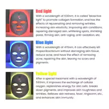 LED Facial Therapy Mask